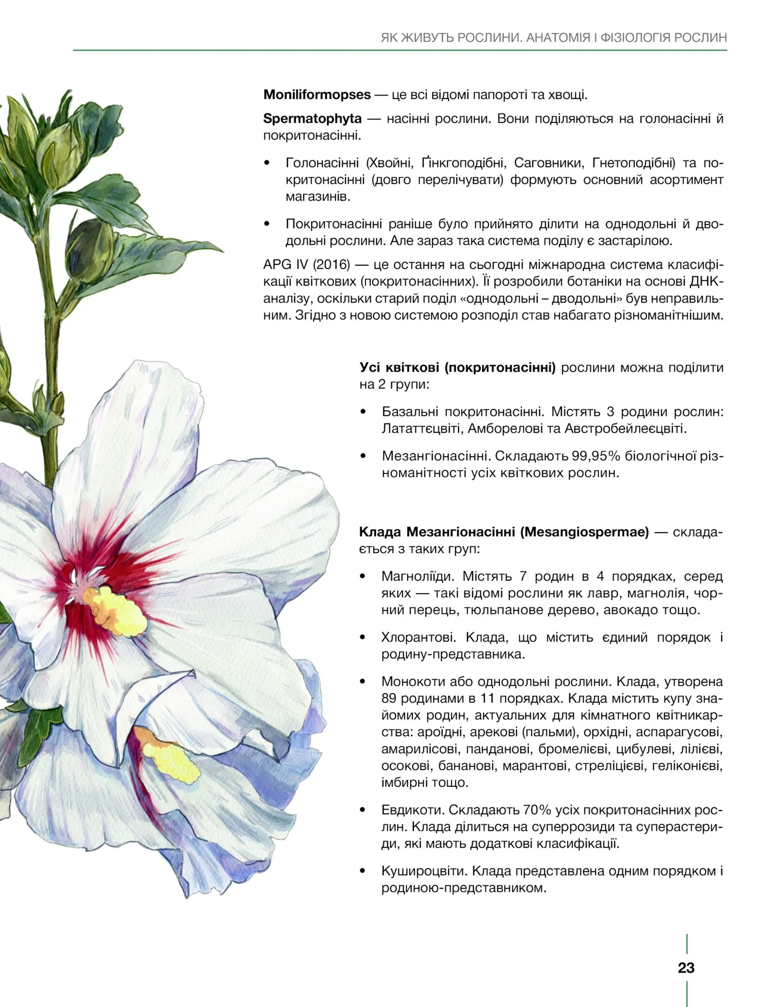 Сторінка 2 з превʼю книги «ПЛАНТОГОЛІЗМ»