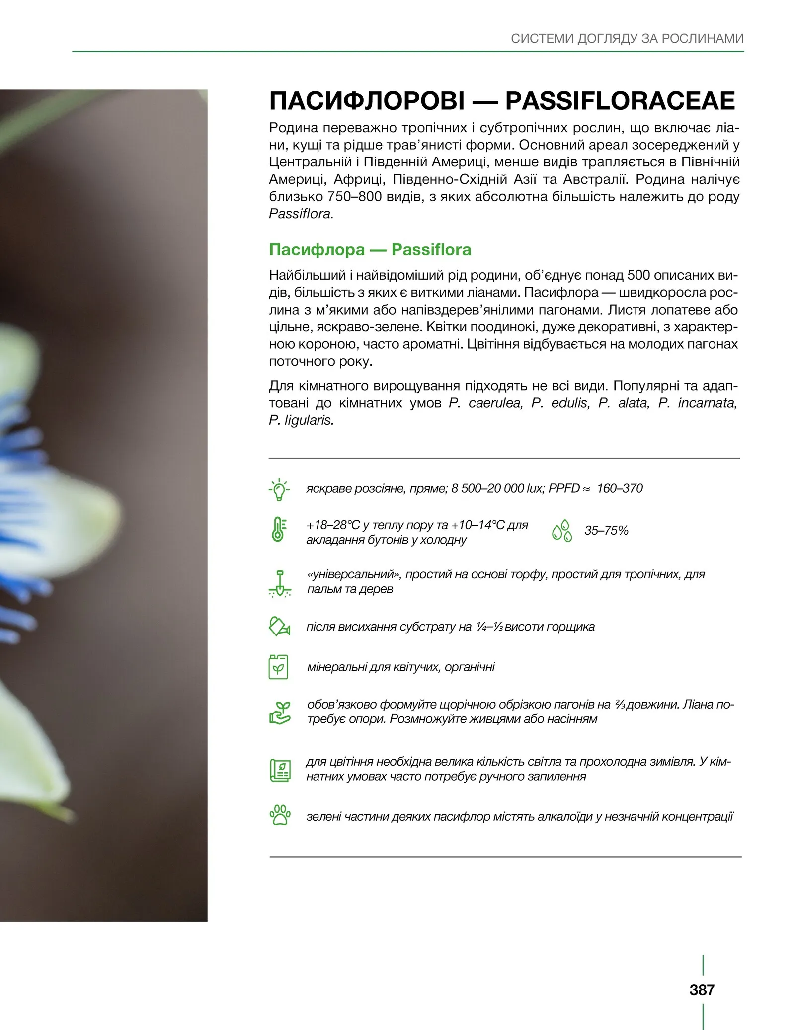 Сторінка 12 з превʼю книги «ПЛАНТОГОЛІЗМ»
